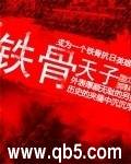 铁骨封面