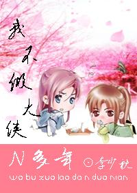 我不做大侠n多年封面