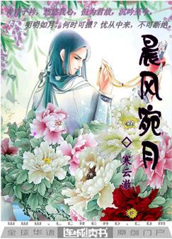 晨风宛月封面