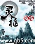 灵枢封面