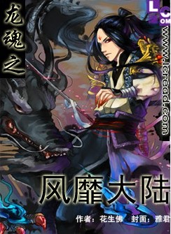 龙魂之风靡大陆封面