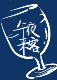 午夜来客封面