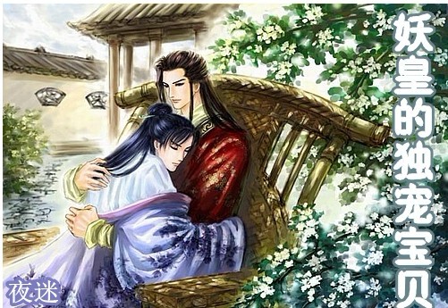 妖皇的独宠宝贝封面