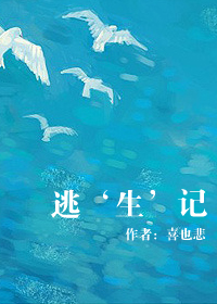 �ӡ������Ƿ���