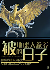 �������˻��������ӷ���