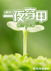 [����]һҹ���׷���