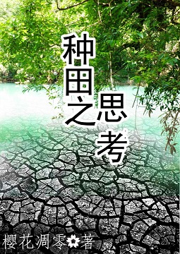 种田之思考封面