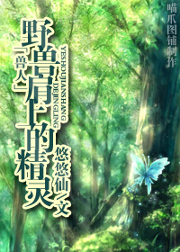 野兽肩上的精灵封面