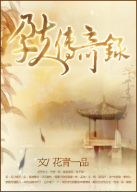 孕夫传奇录封面